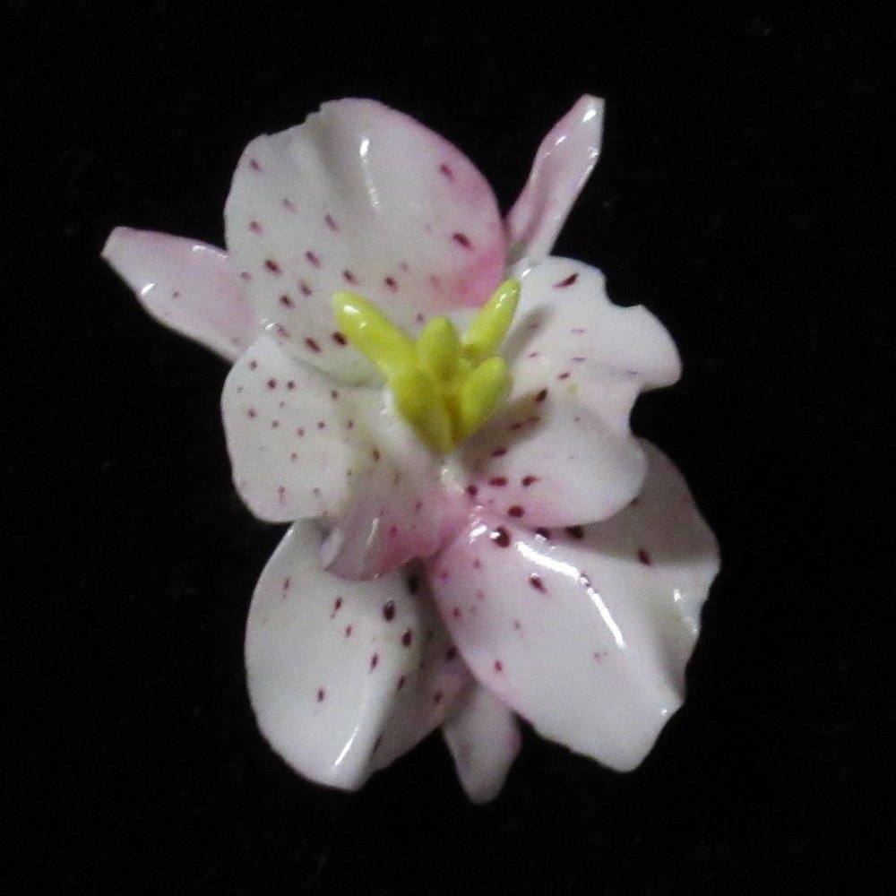 Royal Adderley Floral Flower Brooch